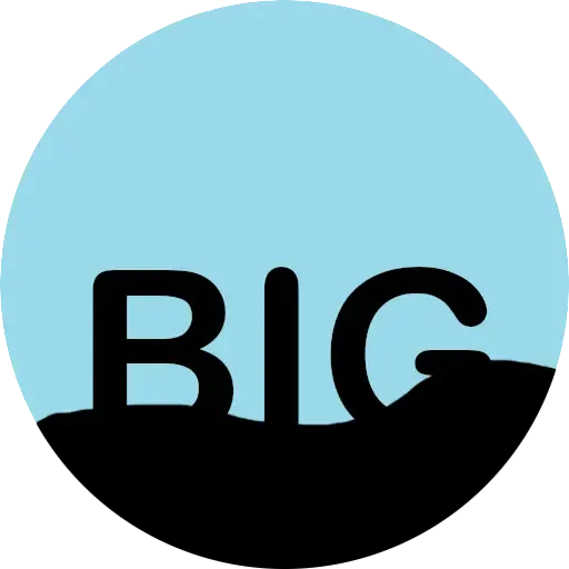 BIG Logo